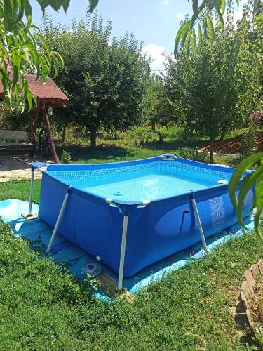 Branistea Bed & Breakfast | 16 m² Bed and breakfast ∙ 3 guests