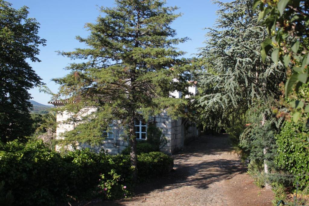 Macedo de Cavaleiros House | Casal dos Zimbros