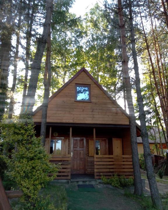 Rakow House | Domek Dzięciołek