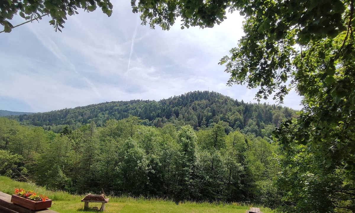 Miellin Apartment | Gite standing Vosges du Sud and plateau of a thousand ponds