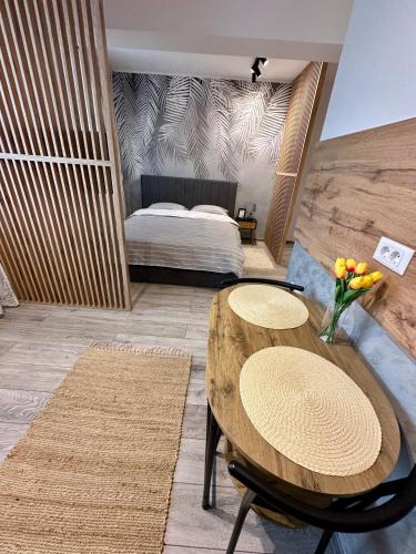 Tirgu Neamt Apartment | Sofia Residence Studio Cetate