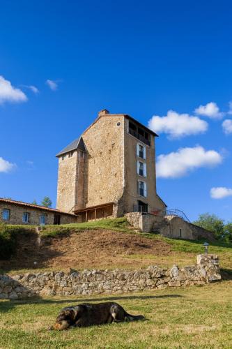 Montegut Bed & Breakfast | Tour Médievale Privée Château Montegut