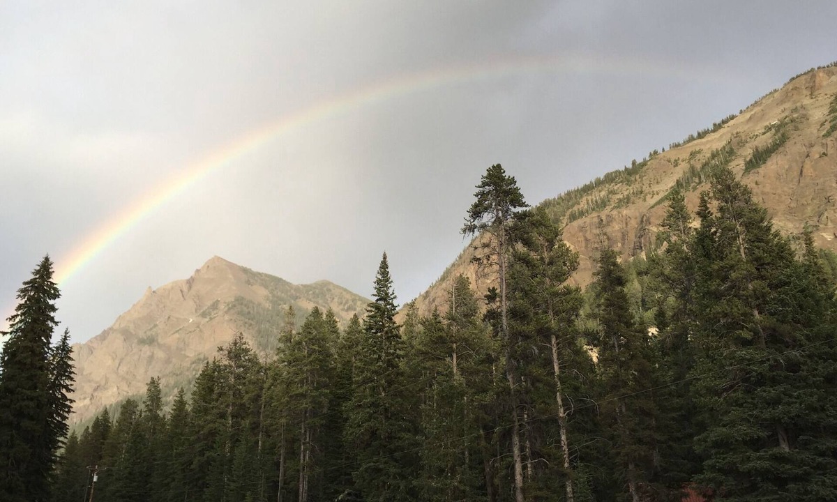 Silver Gate Apartment | Twisted Twig Loft: Family trips to Yellowstone are great!
