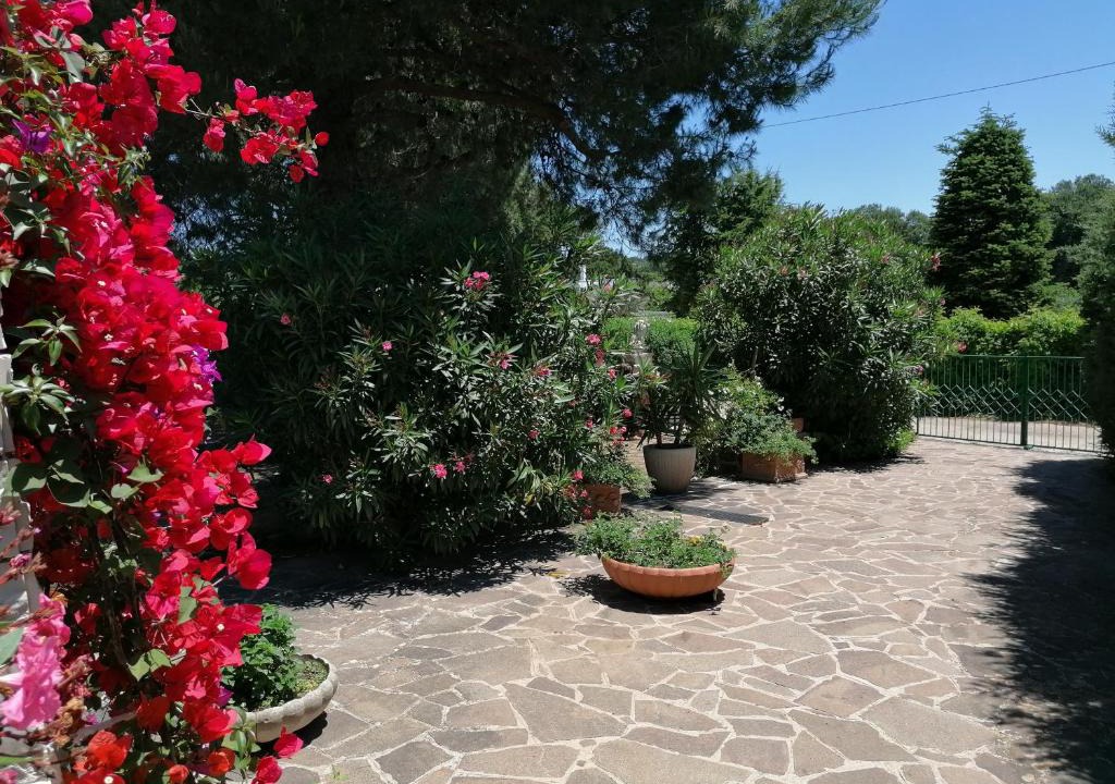 Locorotondo House | Valle d'Itria fiorita
