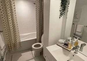 Condo downtown Toronto, parking (kid/pet friendly)