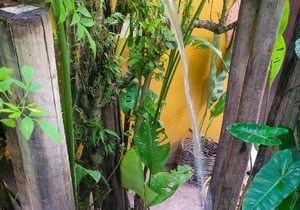 Pousada Raiz Forte