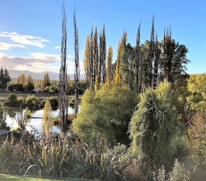 Lagoon Sanctuary 