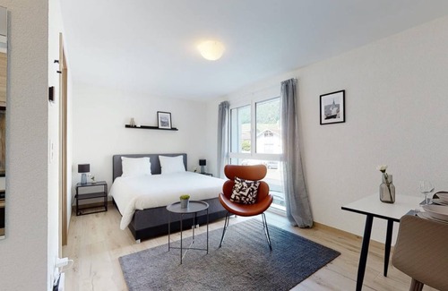 Aigle Apartment | 20 m² Studio flat ∙ 1 bedroom ∙ 2 guests