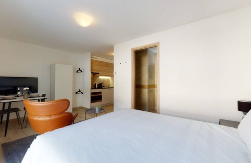 Aigle Apartment | 20 m² Studio flat ∙ 1 bedroom ∙ 2 guests