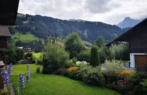 Lenk Apartment | 67 m² Apartment ∙ 2 bedrooms ∙ 4 guests