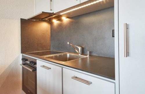 Vex Apartment | Apartment Flache 401 by Interhome