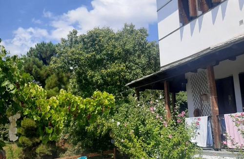 Milies House | ΠΗΛΙΟΡΕΙΤΙΚΟ ΝΕΟΑΡΧΟΝΤΙΚΟ ΣΤΙΣ ΜΗΛΙΕΣ