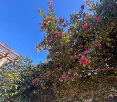 Mashiko Bed & Breakfast | 18 m² Bed and breakfast ∙ 4 guests