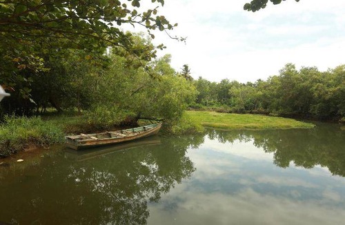 Poovar Resort | 25 m² Resort ∙ 3 guests