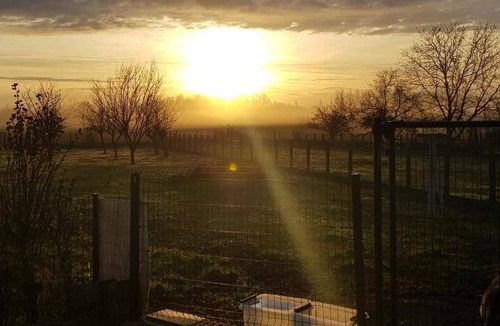 Pruniers-en-Sologne Bed & Breakfast | 27 m² Bed and breakfast ∙ 4 guests