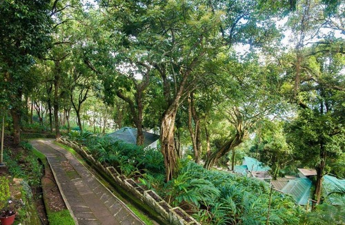 Devikolam Resort | 30 m² Resort ∙ 4 guests