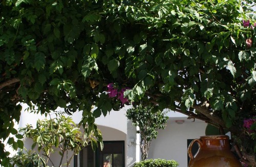 San Pietro in Bevagna House | 80 m² House ∙ 2 bedrooms ∙ 6 guests