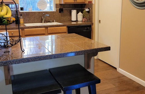 Pollock Pines House | A Mountain Rose, near APPLE HILL, wine, Jenkinson LAKE, swim, snow, FUN! EVs