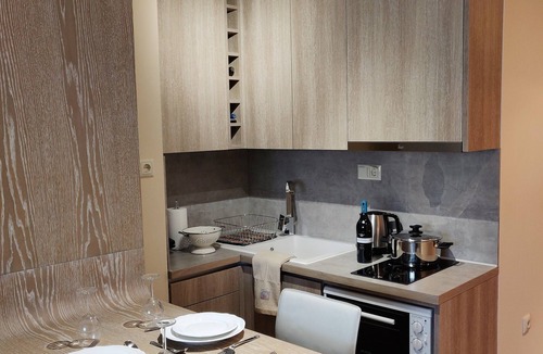 Thessaloniki City Centre Apartment | AGIAS SOFIAS STREET LUXURIOUS STUDIO