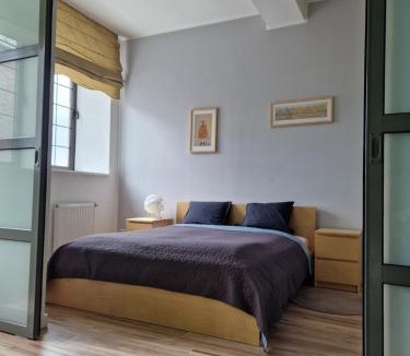 Wloclawek Apartment | Apartamenty „Lofty w piecowni”