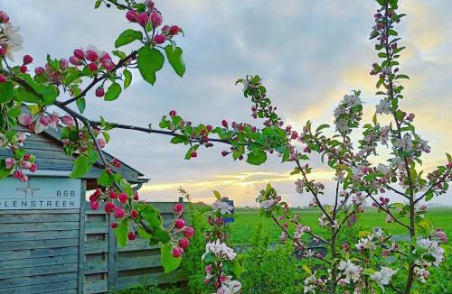 Oranjewijk Bed & Breakfast | B&B Molenstreek