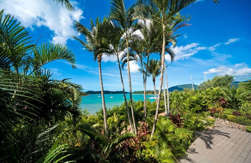 Shute Harbour Apartment | Baybliss Luxury 1 Bedroom Apt