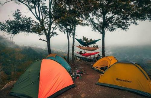 Samarinda Other | Borneo camp