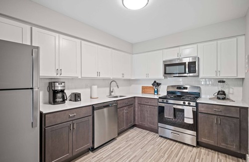 Rochester Apartment | Bright & Airy Urban Unit Walk to Everything!
