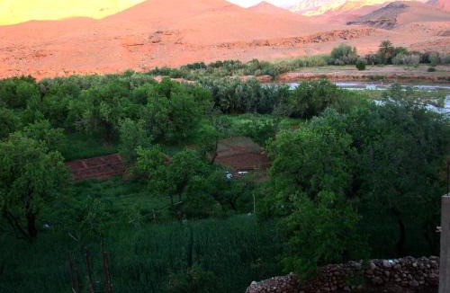Tamedakhte House | Dar Bilal