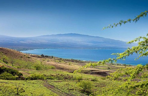 Kohala Estates House | House ∙ 1 bedroom ∙ 3 guests