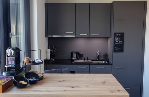 Beinwil am See Apartment | Lake View Cozy Studio Apartment