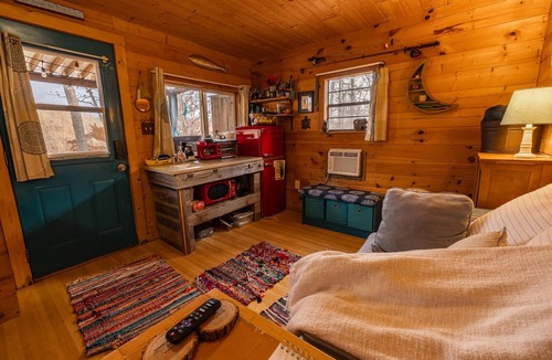 Goreville Cabin | Little Moon Tiny Lake of Egypt Lakefront Cabin