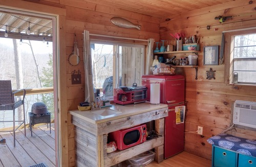 Goreville Cabin | Little Moon Tiny Lake of Egypt Lakefront Cabin