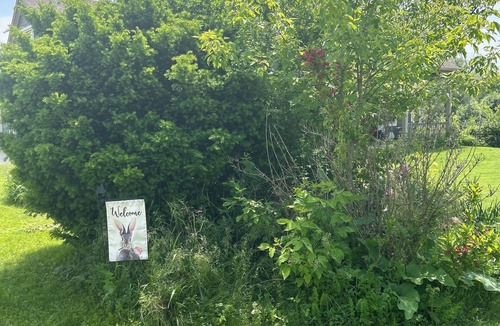 Oconomowoc House | Looking for a large home with acres during RNC? Great trails and backyard