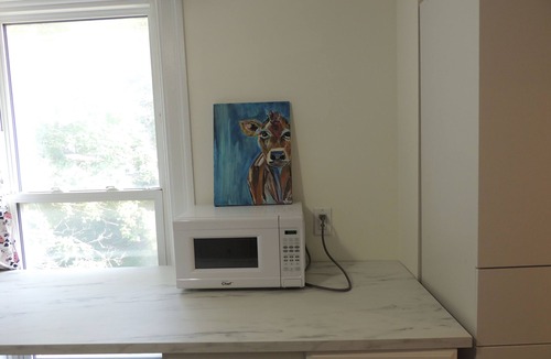 Woodstock Apartment | Welcome to Cowtown! Homey open concept 2 bedroom apartment.