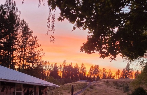 Ahsahka House | Wildlife Beautiful of rocky mountains, minutes away from clearwater river veiw