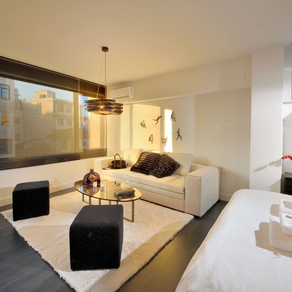 K&K's Ater Albus Junior Suite
