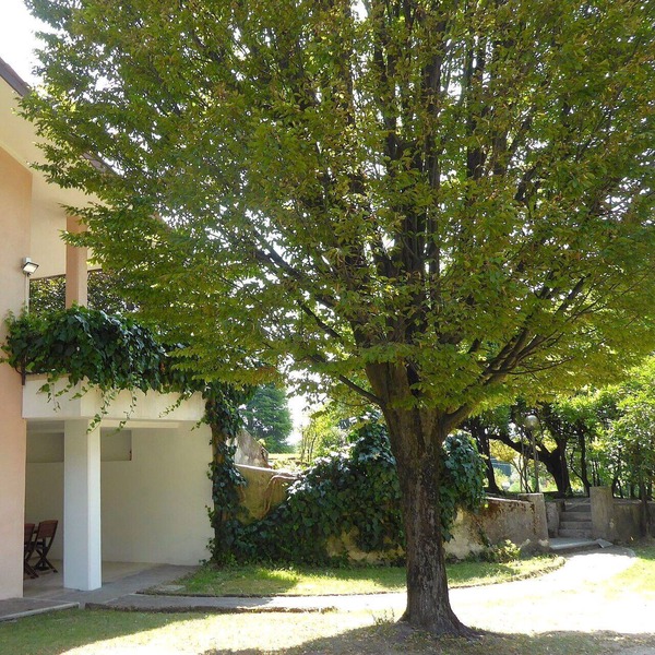 Lovely apartment for 3 guests with A/C, WIFI and patio