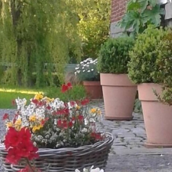 Maison D'eclaibes