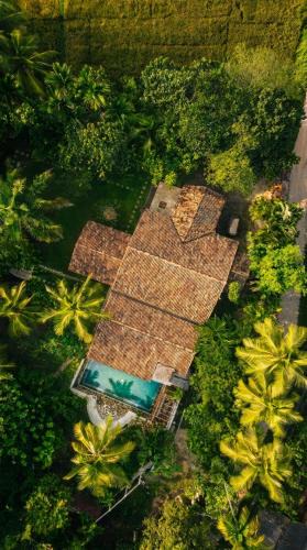 Medusa Bungalow