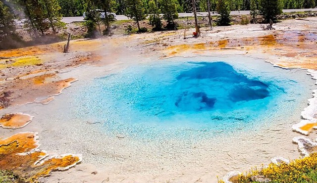 From Bozeman Express Yellowstone Full Day Tour