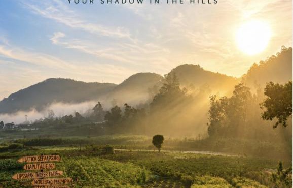 HAPUTHALE Ceylon shadow