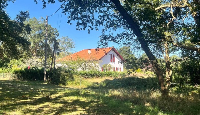 Serenity and relaxation 3 km from the beach