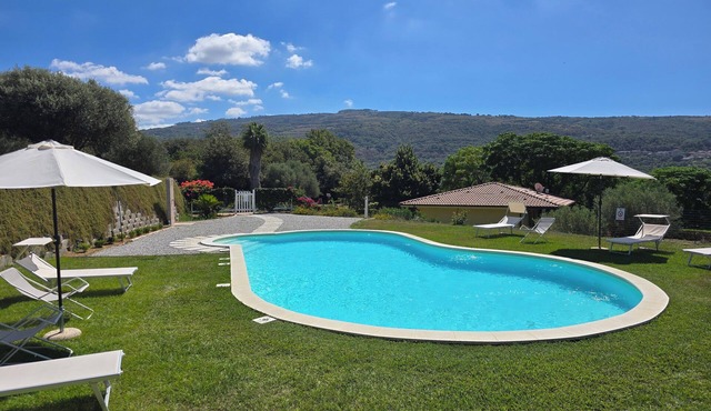 Tropea - Capo Vaticano Apartment in villa with pool, sea view, big garden