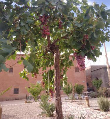 Tamedakhte Bed & Breakfast | 23 m² Bed and breakfast ∙ 3 guests