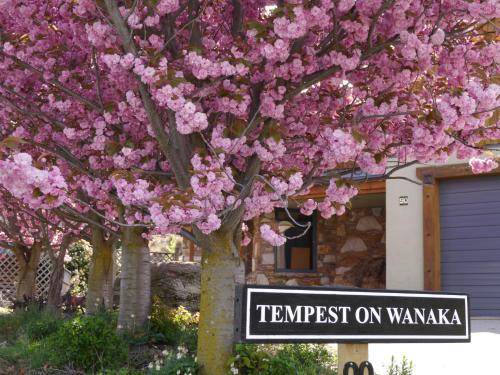 Wanaka Bed & Breakfast | 35 m² Bed and breakfast ∙ 3 guests