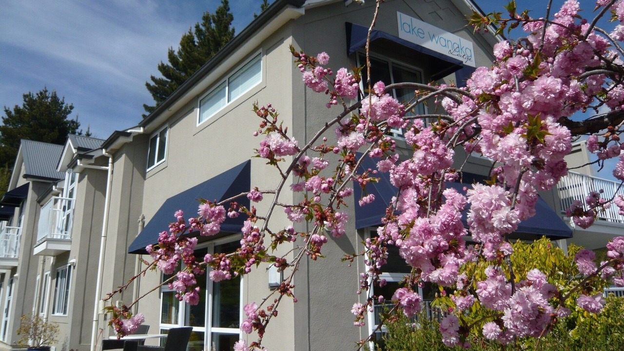 Photo of Buildings in Wanaka