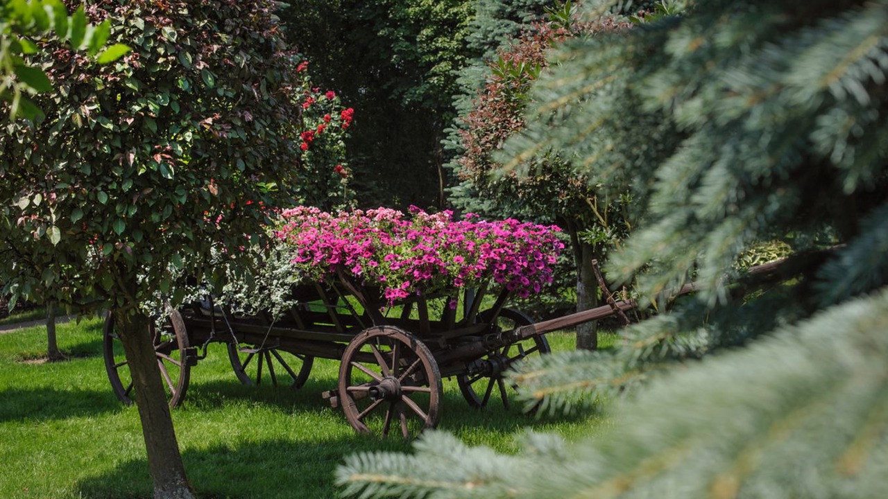 Photo of Outdoor in Bronowice