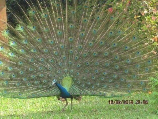 Photo of Others in Inamaluwa