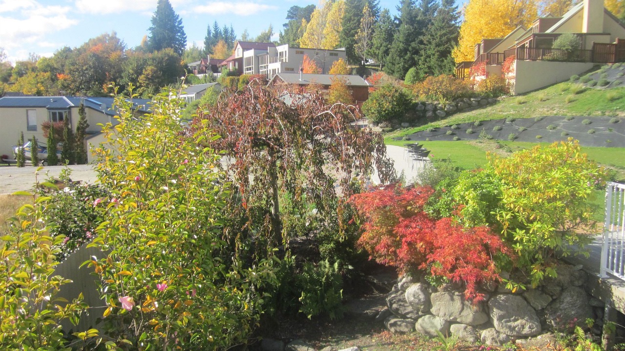 Photo of Outdoor in Wanaka